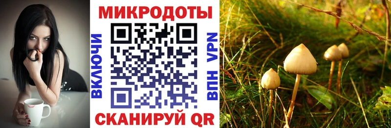 Галлюциногенные грибы GOLDEN TEACHER  мега сайт  Облучье 